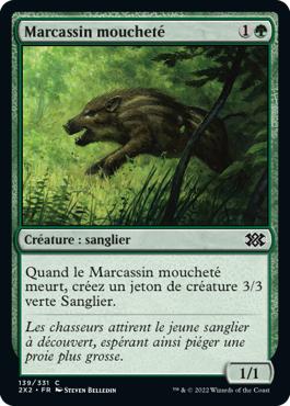 Marcassin moucheté - Double Masters 2022