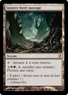 Sinistre forêt sauvage - Commander Edition 2013