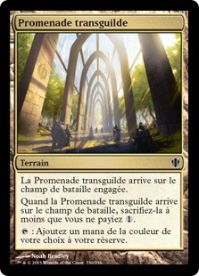 Promenade transguilde - Commander Edition 2013