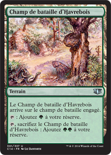 Champ de bataille d'Havrebois - Commander 2014