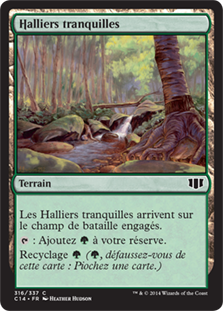 Halliers tranquilles - Commander 2014