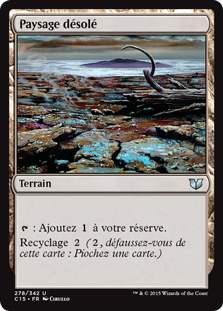 Paysage désolé - Commander 2015