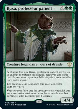 Ruxa, professeur patient - Commander 2021