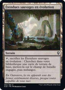 Étendues sauvages en évolution - Commander Légendes : la bataille de la Porte de Baldur