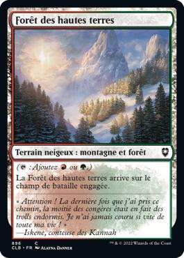 Forêt des hautes terres - Commander Légendes : la bataille de la Porte de Baldur