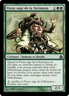 Vieux sage de la Yavimaya - Magic: The Gathering-Commander