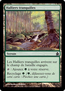 Halliers tranquilles - Magic: The Gathering-Commander