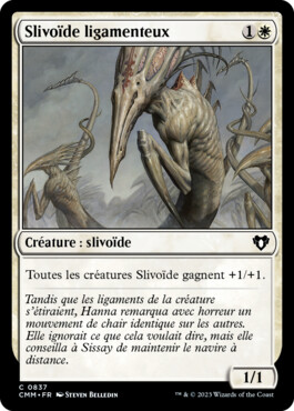 Slivoïde ligamenteux - Commander Masters