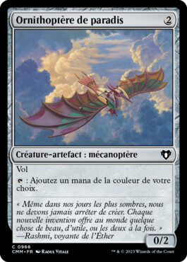 Ornithoptère de paradis - Commander Masters