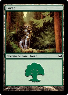 Forêt - Duel Decks: Chevaliers vs. Dragons