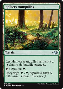 Halliers tranquilles - Horizons du Modern