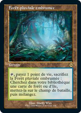 Forêt pluviale embrumée - Horizons du Modern 2