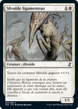 Slivoïde ligamenteux - Spirale Temporelle Remastered