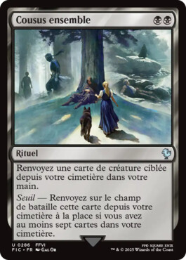 Cousus ensemble - Final Fantasy Commander