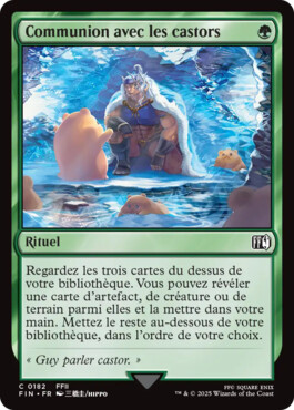 Communion avec les castors - Final Fantasy