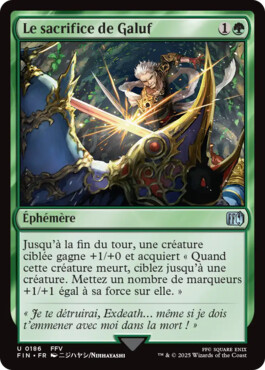 Sacrifice de Galuf - Final Fantasy