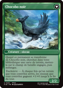 Chocobo noir - Final Fantasy