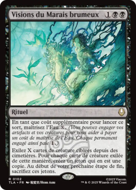 Visions du Marais brumeux - Avatar, le dernier maître de l'air