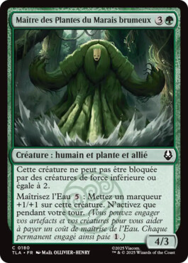 Maître des Plantes du Marais brumeux - Avatar, le dernier maître de l'air