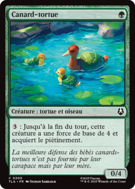 Canard-tortue - Avatar, le dernier maître de l'air