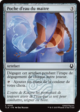 Poche d’eau du maître - Avatar, le dernier maître de l'air