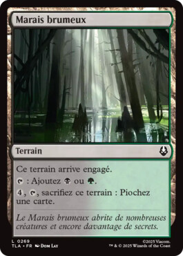 Marais brumeux - Avatar, le dernier maître de l'air