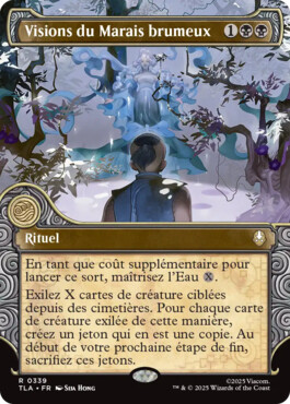 Visions du Marais brumeux - Avatar, le dernier maître de l'air