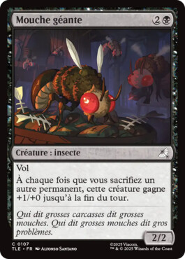 Mouche géante - Avatar, le dernier maître de l'air Eternal