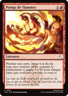 Poings de flammes - Avatar, le dernier maître de l'air Eternal