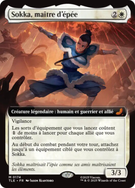 Sokka, maître d'épée - Avatar, le dernier maître de l'air Eternal