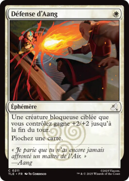 Défense d’Aang - Avatar, le dernier maître de l'air Eternal