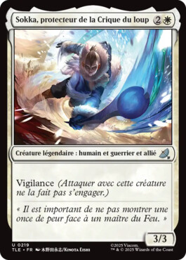 Sokka, protecteur de la Crique du loup - Avatar, le dernier maître de l'air Eternal