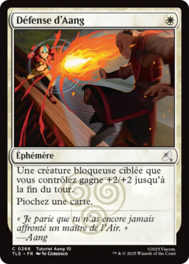 Défense d’Aang - Avatar, le dernier maître de l'air Eternal