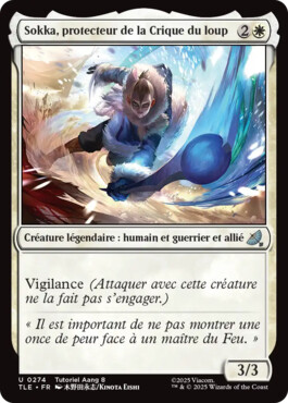 Sokka, protecteur de la Crique du loup - Avatar, le dernier maître de l'air Eternal