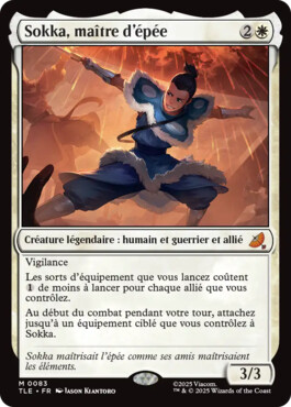 Sokka, maître d'épée - Avatar, le dernier maître de l'air Eternal