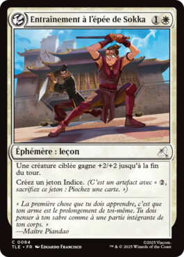 Entraînement à l’épée de Sokka - Avatar, le dernier maître de l'air Eternal