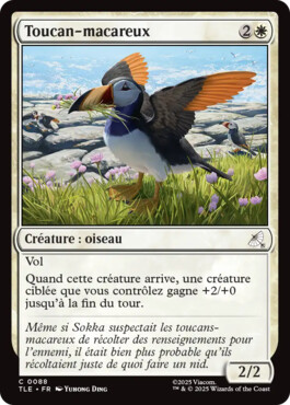 Toucan-macareux - Avatar, le dernier maître de l'air Eternal