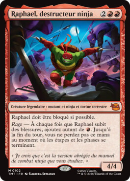 Raphael, destructeur ninja - Teenage Mutant Ninja Turtles