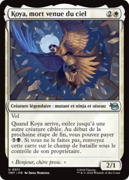 Koya, mort venue du ciel - Teenage Mutant Ninja Turtles