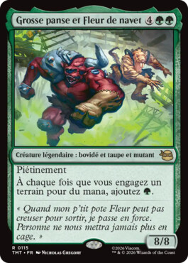 Grosse panse et Fleur de navet - Teenage Mutant Ninja Turtles