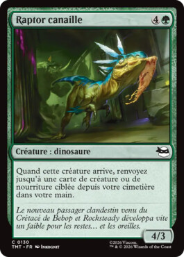 Raptor canaille - Teenage Mutant Ninja Turtles