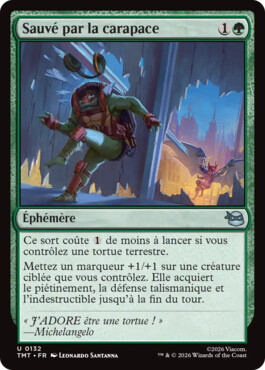 Sauvé par la carapace - Teenage Mutant Ninja Turtles