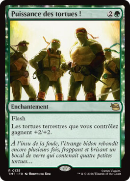 Puissance des tortues ! - Teenage Mutant Ninja Turtles