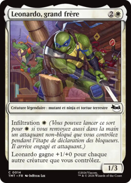 Leonardo, grand frère - Teenage Mutant Ninja Turtles