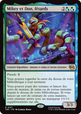 Mikey et Don, fêtards - Teenage Mutant Ninja Turtles