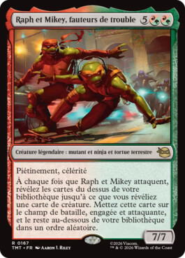 Raph et Mikey, fauteurs de trouble - Teenage Mutant Ninja Turtles