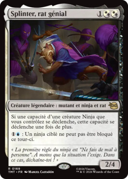 Splinter, rat génial - Teenage Mutant Ninja Turtles