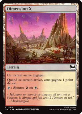 Dimension X - Teenage Mutant Ninja Turtles