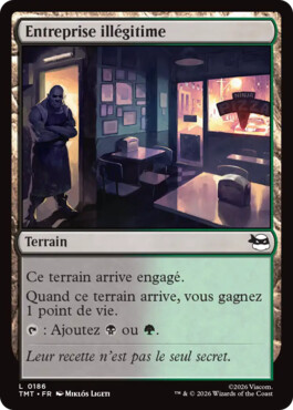 Entreprise illégitime - Teenage Mutant Ninja Turtles