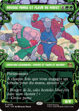 Grosse panse et Fleur de navet - Teenage Mutant Ninja Turtles